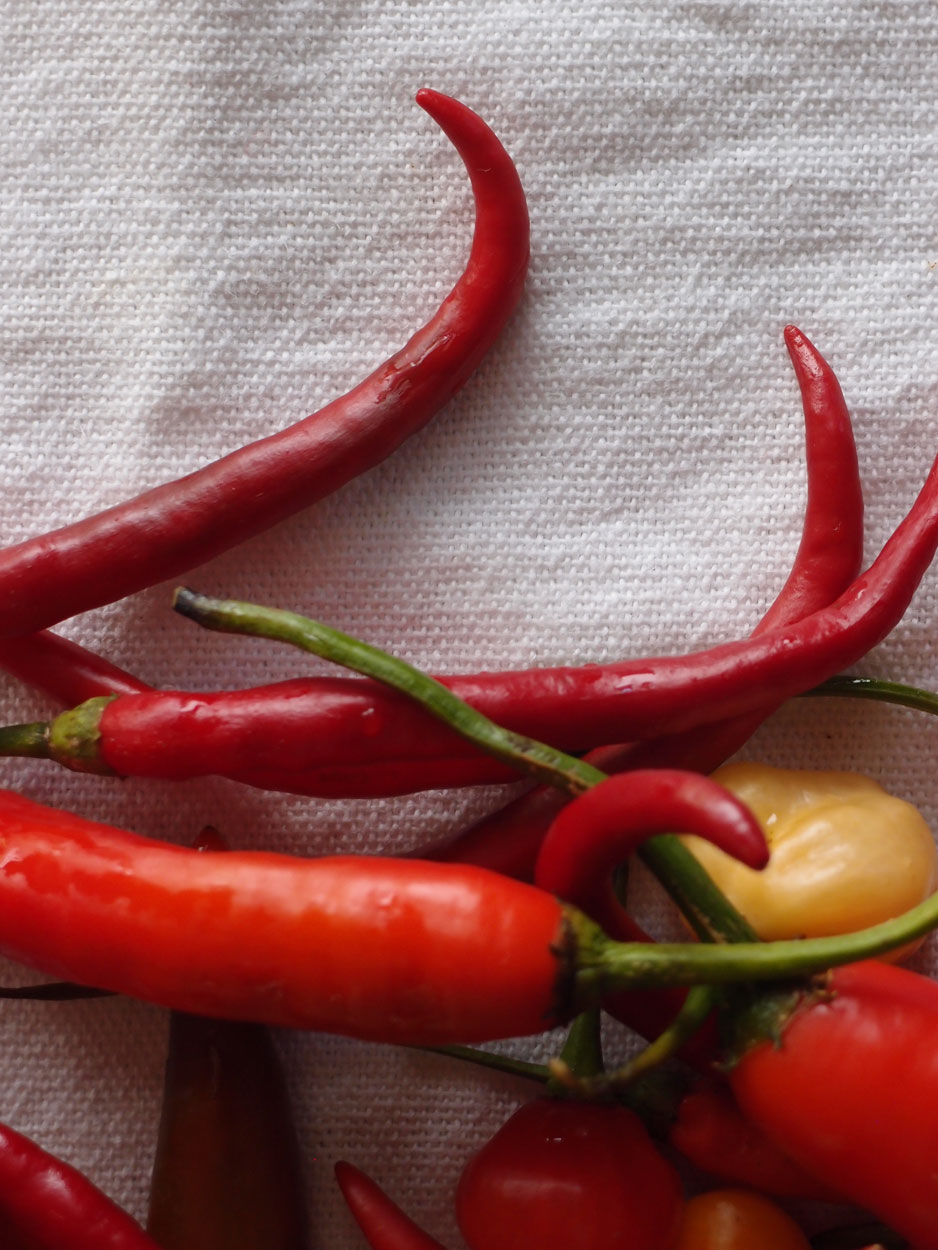 2016-01-26 Pimentas 1 + 2 (Foto)